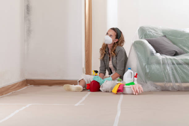 Reliable Basement Mold Removal contractor in Union City, MI by WQB Mold Removal